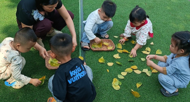 Hoạt động trải nghiệm " Nhặt lá" ngoài trời 3 tuổi- TT